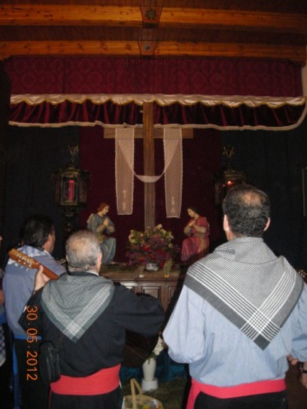 Mayos &quot;Campo de Calatrava&quot; 2013
